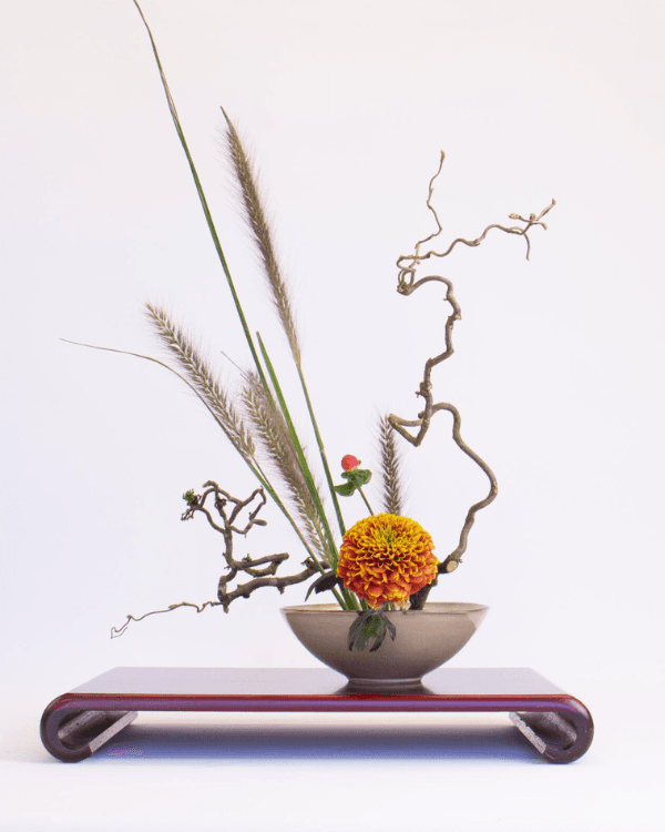 LAL – Kurse – Ikebana – Dialog der Blumen Ikebana – Dialog der Blumen