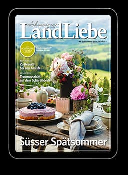 iPad | Schweizer LandLiebe Produkt Teaser