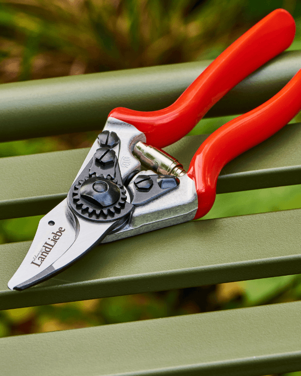 LaL – Merchandising – Felco6 Garten- und Baumschere Baum- und Gartenschere Felco 6