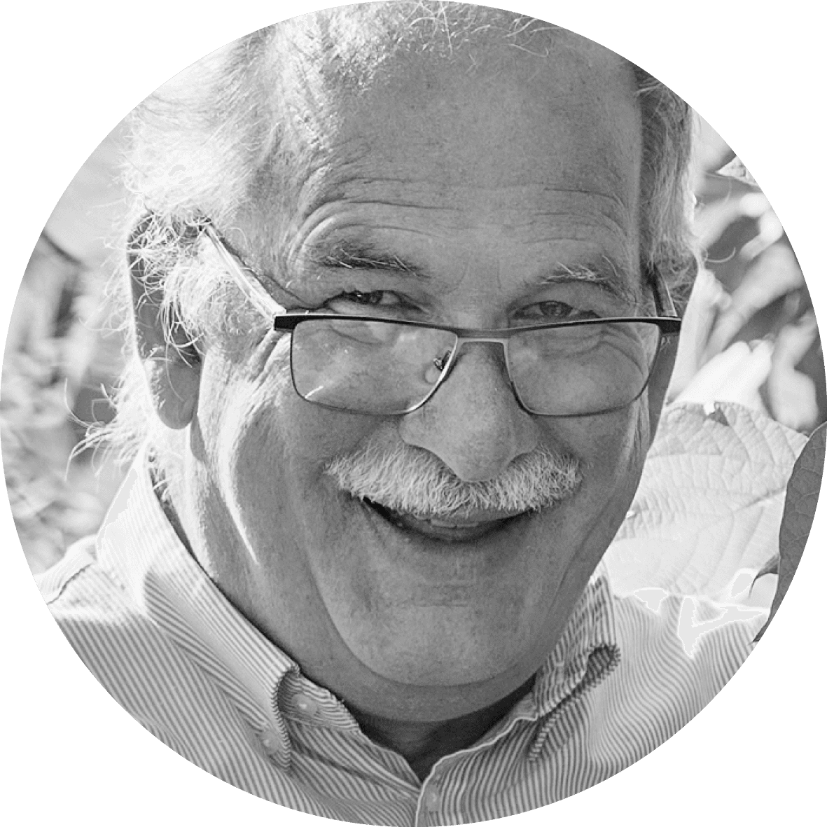 Kobelt Markus Markus Kobelt